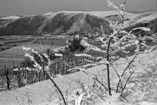 Vogtsburg: Verschneiter Kaiserstuhl, Badberg, Vordergrund Reben