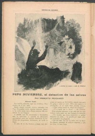 Pepe Noviembre, el detective de las selvas : Máscara negra