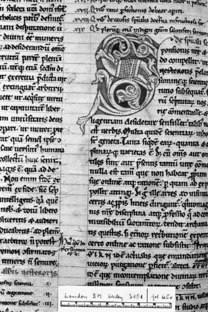 Buchseite mit Rankeninitiale S, Folio 65 verso