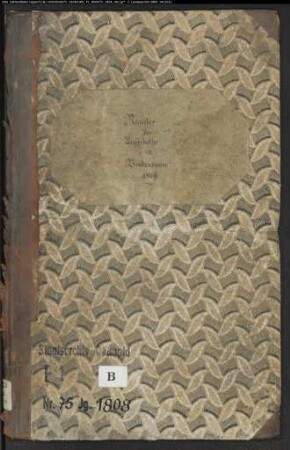 Zivilstandsregister der katholischen Gemeinde Bredenborn, Kreis Höxter (A 1808) (Gemeinde: Katholische Gemeinde Bredenborn)