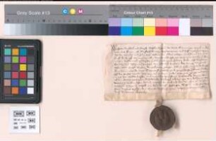 Mit früherer darauf bezüglicher Urkunde von 1551 Dezember 29.