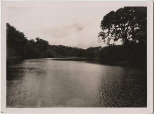 Amazonas (Film: "Urwelt im Urwald")