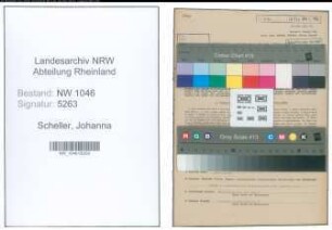 Entnazifizierung Johanna Scheller , geb. 14.03.1914 (Lehrerin)