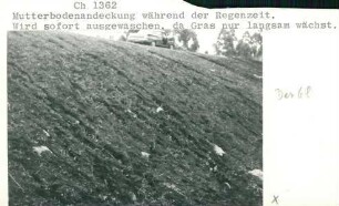Tukuyu-Straße, ohne Ortsangabe, 1966-1969