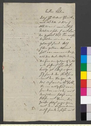 Brief von Goethe, August von an Goethe, Johann Wolfgang von