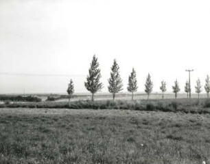 Wilsdruffer Pflege. Feldflur zwischen Unkersdorf und Roitzsch westlich des TP 296,0. Blick von der Straße zwischen Unkersdorf und Steinbach nach Nordosten gegen Brabschütz
