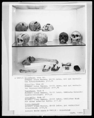 Knochen- und Schädelfragmente