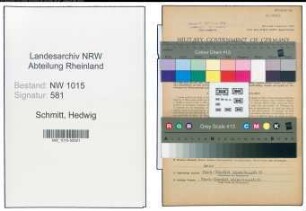 Entnazifizierung Hedwig Schmitt , geb. 11.10.1906 (Kindergaertnerin)