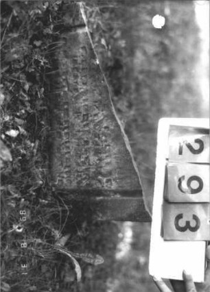 Grabstein 293 (Index: 99609930) Material: Sandstein Zustand: Stele abgebrochen Beschreibung: Unterteil einer Stele: Grabstein 293