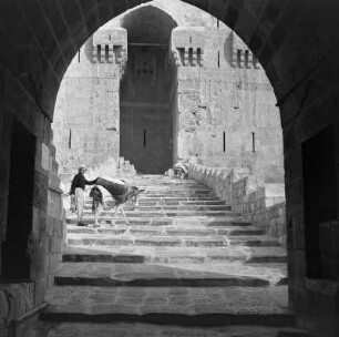 Blick durch einen Torbogen auf den Treppenaufgang zur Zitadelle von Aleppo, auf der Treppe eine Frau mit zwei Eseln
