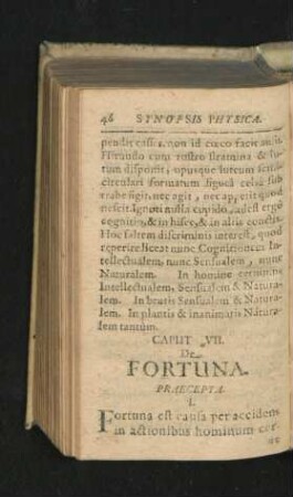 Caput VII. De Fortuna.