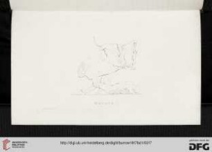Plate I-XIV