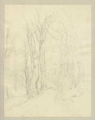 Waldweg