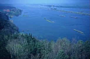 Hochwasser an der Elbe 1981