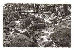 Silberbachtal Teutoburger Wald