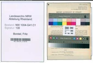 Entnazifizierung Fritz Borstel , geb. 17.08.1901 (Polizeiinspektor)