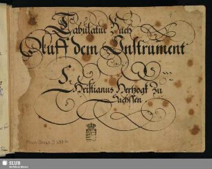 Tabulatur Buch auff dem Instrument - Mscr.Dresd.J.307.m