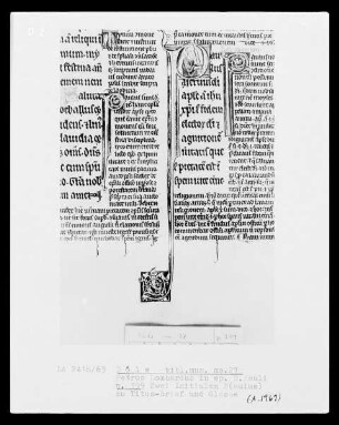 Petrus Lombardus, Commentarius in epistolas Sanct Pauli: Initialen P
