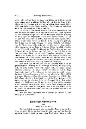 Litterarische Erwerbsarbeit