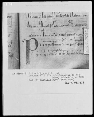 Antiphonarium de Tempore (Zisterzienserhandschrift) — Initiale P(OST passionem), Folio 131recto