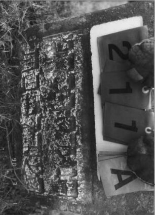 Grabstein 211 (Index: 100115037) Material: Sandstein Zustand: eingesunken (abgebrochen?) Maße HxBxT: 45x50x8 cm Beschreibung: Stele mit dreigeteiltem Rundbogen: Grabstein 211A