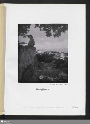 Blick auf Funchal (Madeira)