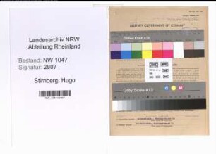 Entnazifizierung Hugo Stirnberg , geb. 09.11.1898 (Tischler)
