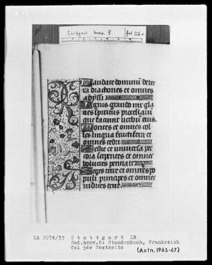 Lateinisch-französisches Stundenbuch — Bordüre mit Fliege, Folio 56 verso