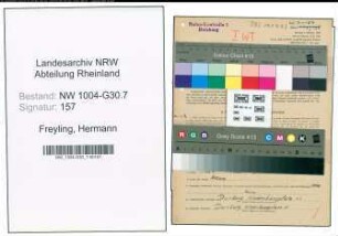 Entnazifizierung Hermann Freyling , geb. 06.10.1890 (Hafenmeister)