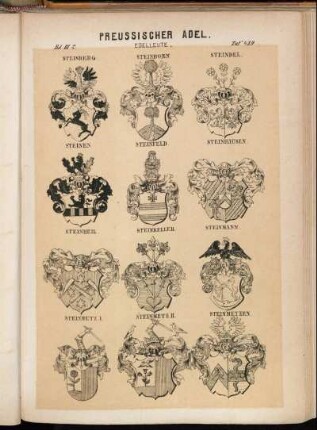 Taf. 439. Steinberg. - Steinborn. - Steindel. - Steinen. - Steinfeld. - Steinhausen. - Steinheil. - Steinkeller. - Steinmann. - Steinmetz I. - Steinmetz II. - Steinmetzen