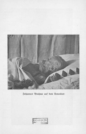 Johannes Brahms auf dem Totenbett