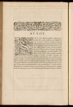 Av Roy