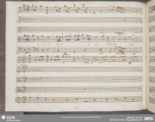 Recitativo: Tutte Amore di te