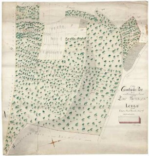 Erster Geometrischer Plan über die in dem Hertinger Bann befindliche Zins Waldungen im Löhle genant