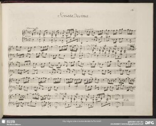 Sonata decima, D-Dur