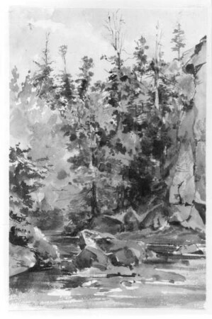 Waldbach : Waldbach. Aquarell; 24,8 x 16,2 cm (vor 1905; E. Leonhardi). Freiberg: Stadt- und Bergbaumuseum 53/155