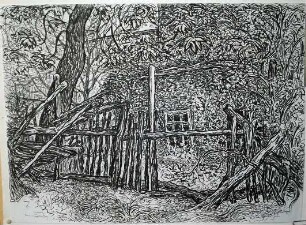 Verlassenes Gartengrundstück II (Löbtau)