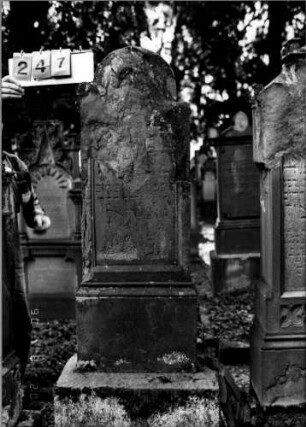 Grabstein 247
