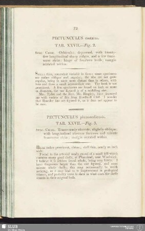 Pectunculus costatus. Tab. XXVII. - Fig. 2