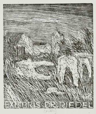 Exlibris Dr. Riedel