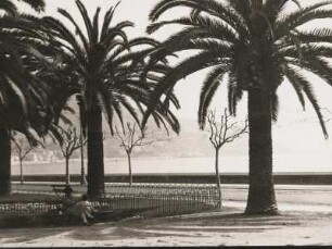 Menton. Franzöische Riviera. An der, mit Palmen bepflanzten Uferpromenade. Eine Frau sitzt mit einem Kind auf einer Bank