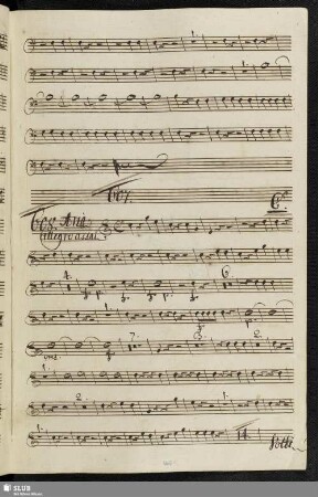 608. Aria: Vorrei punirti indegno / Naumann, J.G.