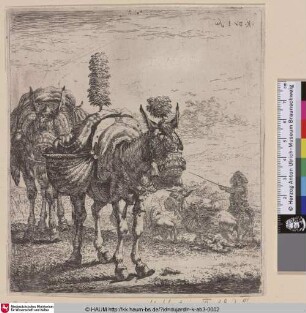 [The Two Mules; Mules; Les mulets; Die Esel]