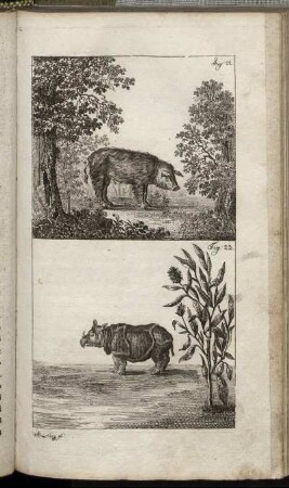 Fig. 22. - Fig. 23.