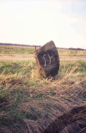 Heide (Kreis Dithmarschen): Ostroher Moor: Grenzstein: Draufsicht