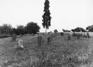 Jüd. Friedhof; Villmar, Wingertsberg