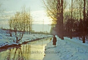 Kurpark: Beste im Winter
