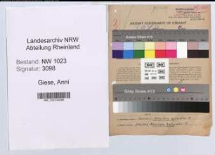 Entnazifizierung Anni Giese , geb. 03.10.1906 (Postangestellte)