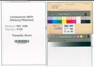 Entnazifizierung Bruno Theweleit , geb. 25.06.1901 ()