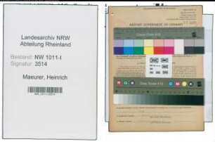 Entnazifizierung Heinrich Maeurer , geb. 31.10.1908 (Landwirt)